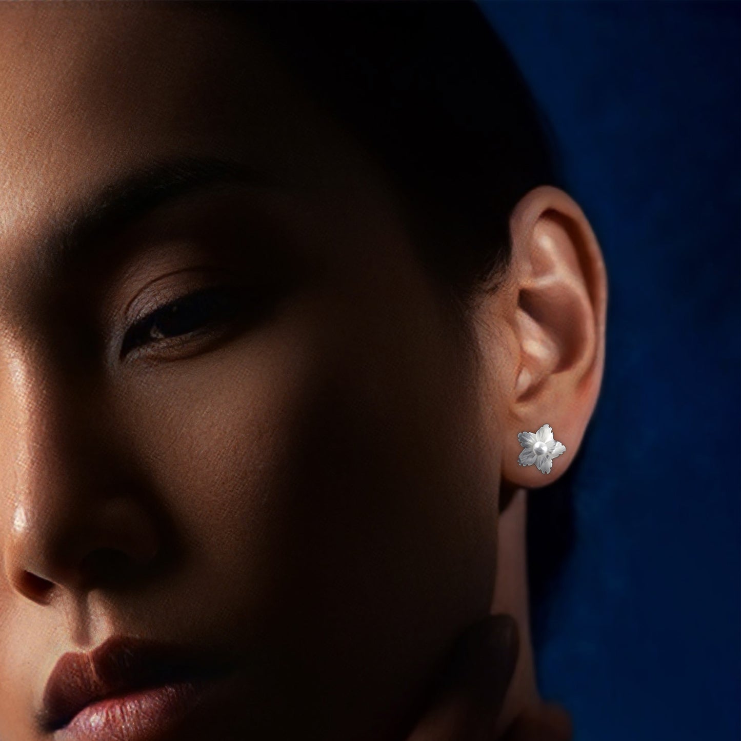 Anting-anting Phlox yang menjuntai