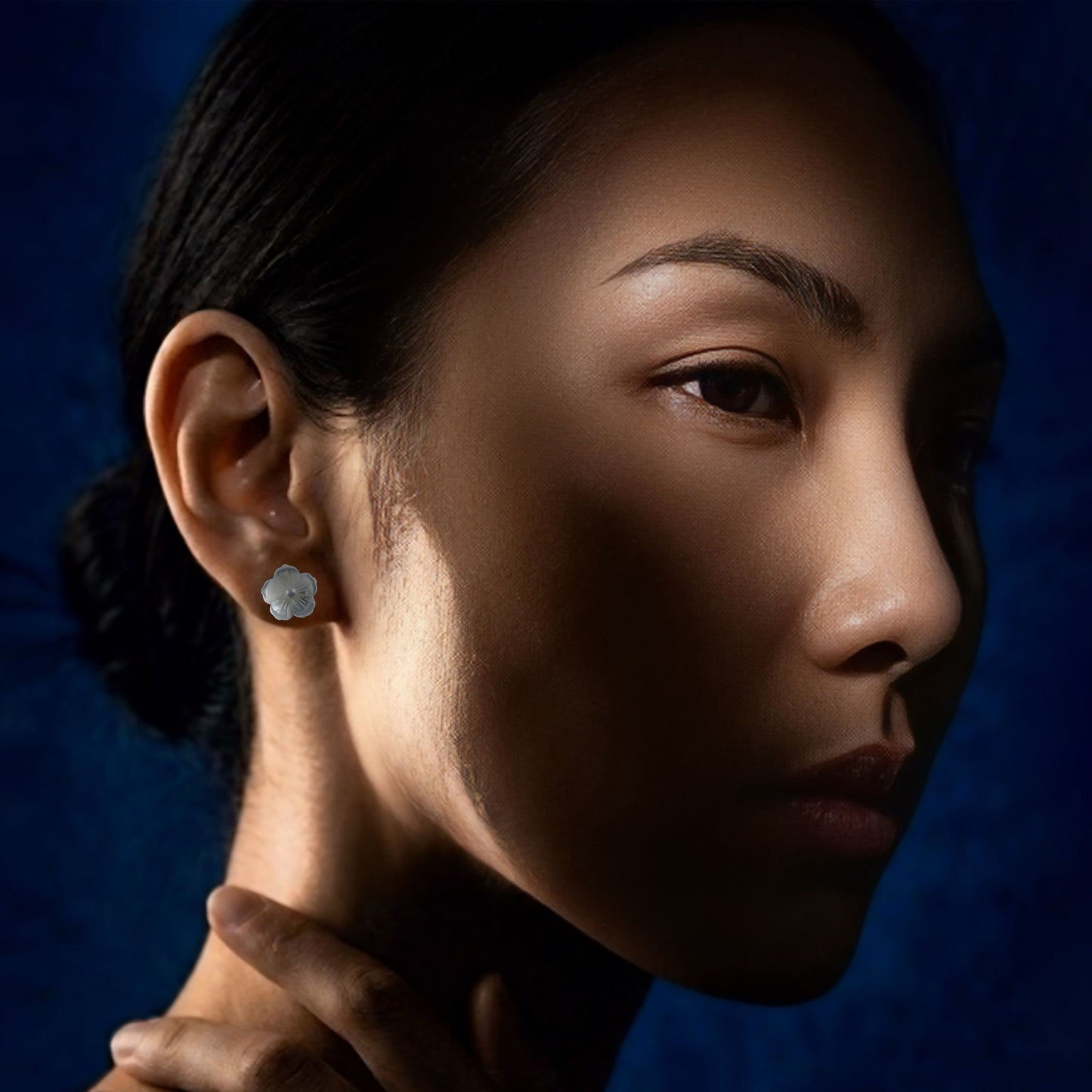 Anting-anting Phlox yang menjuntai