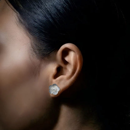 Anting-anting Phlox yang menjuntai