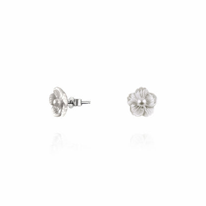 Anting-anting Phlox yang menjuntai