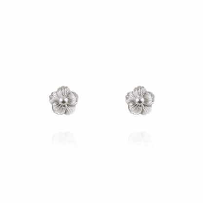 Anting-anting Phlox yang menjuntai