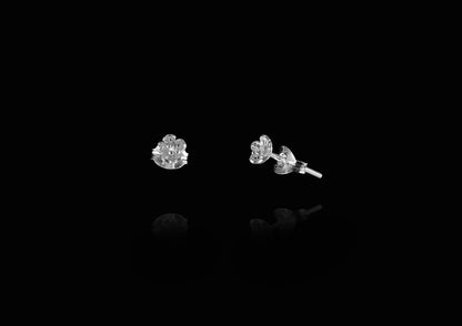 Sambucus Ear Studs